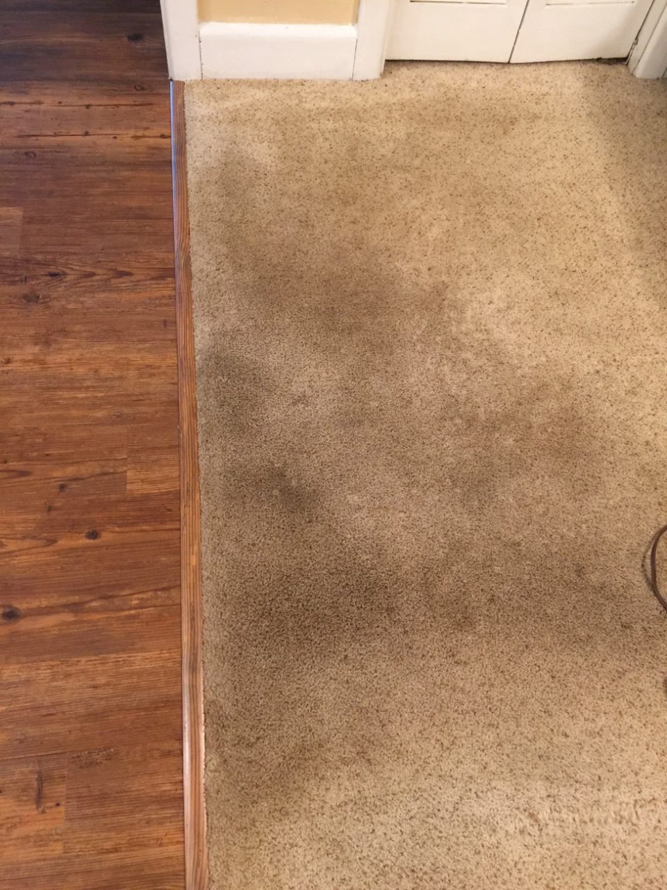 Carpet Before